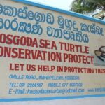 All-In River Safari, Galle, Mirissa Beaches(Whale watching optional) - The Balapitiya River and its island stops