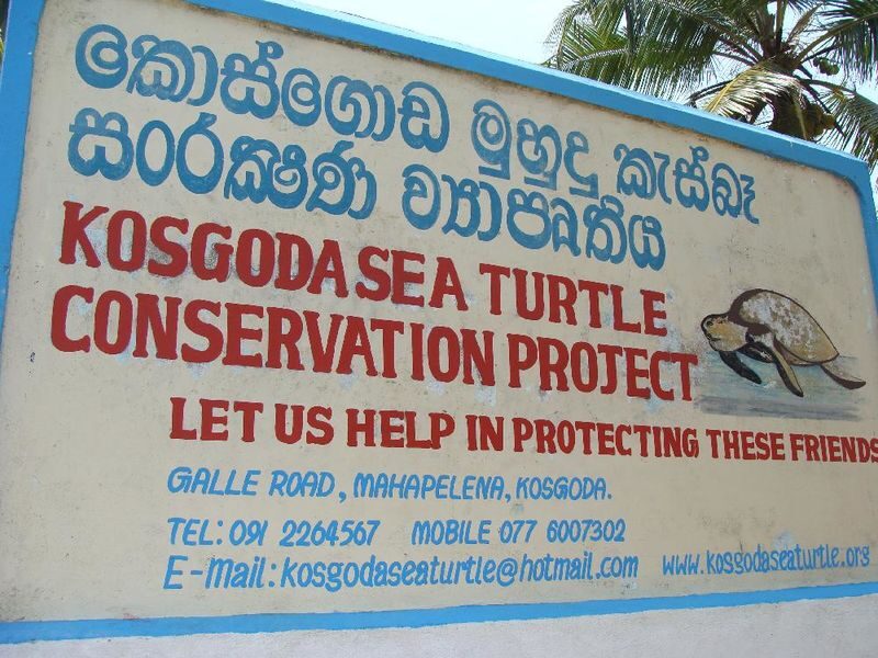 All-In River Safari, Galle, Mirissa Beaches(Whale watching optional) - The Balapitiya River and its island stops