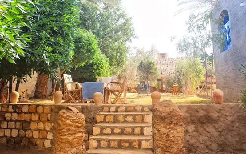 All inclusive- Day Tour to El Fayoum from Cairo - Lake Qarun: a quieter change of scene