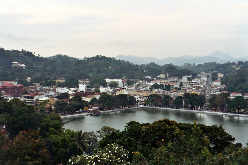 All inclusive Kandy and Pinnawala Elephants Day Tour from Colombo - A driver-guide can shape the whole day