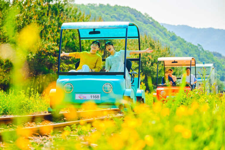 Alpaca World & Gangchon Rail Bike Full-Day Tour - At Alpaca World