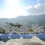 Alpaca World & Nami Island & Nearby Spots 10-Hour Private Tour - Choose a route that fits the day you want