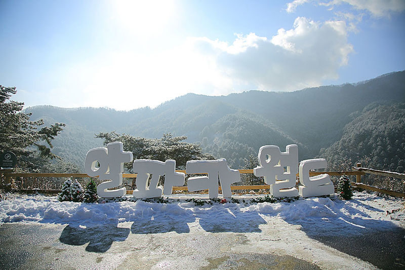 Alpaca World & Nami Island & Nearby Spots 10-Hour Private Tour - Choose a route that fits the day you want