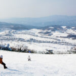 Alpensia Ski Day Tour (Departing from Seoul) - The Seoul bus takes care of the long leg