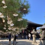 Amanohashidate & Ine Funaya Full-Day Secret Private Tour - What the private-car format changes