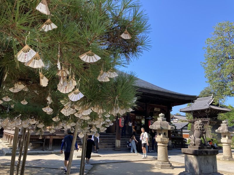 Amanohashidate & Ine Funaya Full-Day Secret Private Tour - What the private-car format changes