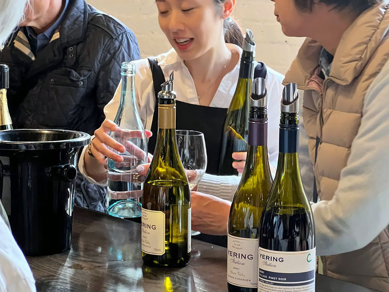 Amazing Yarra Valley Wine, Choc, Farm Fresh, Gin Tour from Melbourne - Yering Station, with a venue caveat
