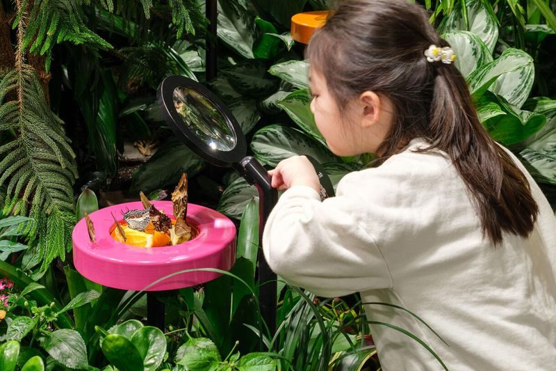 American Museum of Natural History Ticket - Animal Displays and Dioramas Worth a Slower Look