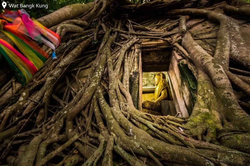 Amphawa Floating Market, Maeklong Railway, Fireflies Tour by AK Go - Lunch is a pause, not part of the fare