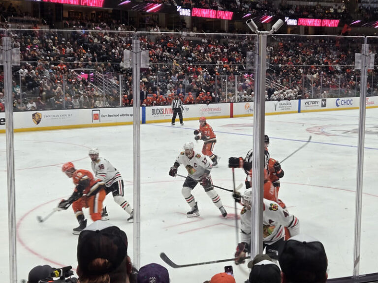 Anaheim Ducks Ice Hockey Game at Honda Center - From the Wild Wing statue to the opening faceoff