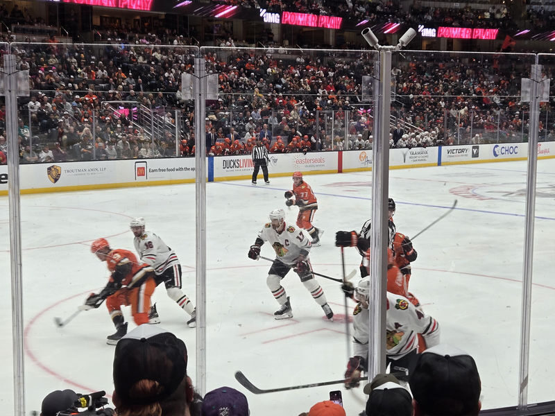 Anaheim Ducks Ice Hockey Game at Honda Center - From the Wild Wing statue to the opening faceoff