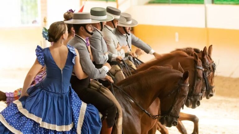 Andalusian horse and Flamenco show in Torremolinos - Meeting the horses before the arena