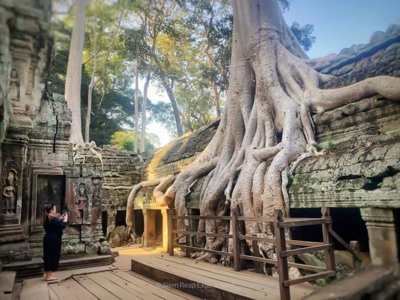Angkor Wat Private Tour by Tuk-Tuk - Ta Prohm before the morning crowds build