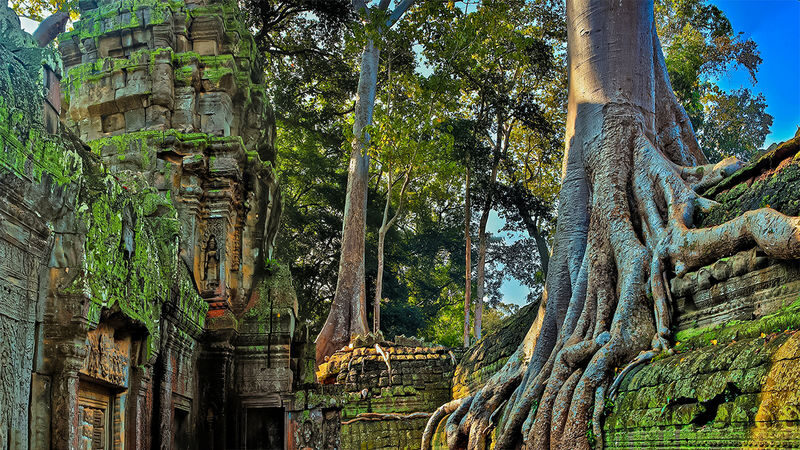 Angkor Wat Temple Ticket with Tuk-Tuk Transfer - Angkor Wat: the grand opening act