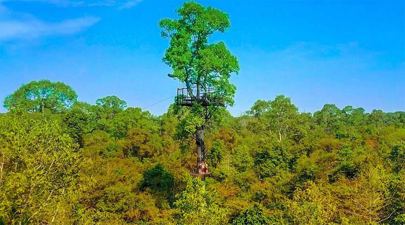 Angkor Zipline - From check-in to the first platform