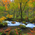 Aomori Day Trip: Oirase Gorge & Towada Lake - Lake Towada gives the day room to breathe