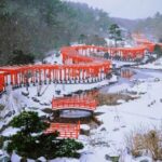 Aomori Hakkoda & Oirase Stream Private Full-Day Tour - Leaving Aomori at 9:00