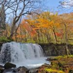 Aomori Oirase Stream & Lake Towada Small Group Tour - Lake Towada adds a different kind of stop