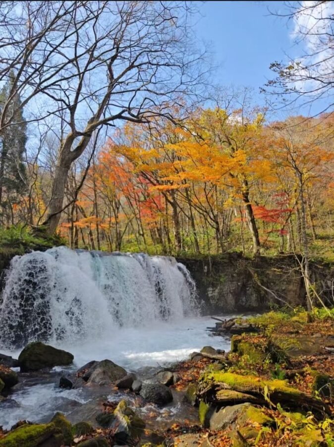 Aomori Oirase Stream & Lake Towada Small Group Tour - Lake Towada adds a different kind of stop