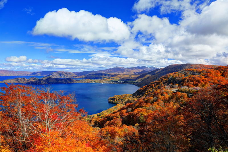Aomori | Oirase Stream & Shirakami Mountains Private Chartered Day Tour | Customizable Itinerary - Lake Towada and the value of a driver