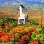 Aomori Small Group Day Tour | Oirase Stream, Hakkoda Mountains, Takayama Inari Shrine, Tanesashi Coast - Plan 1: Hakkoda, Oirase Stream, and Lake Towada