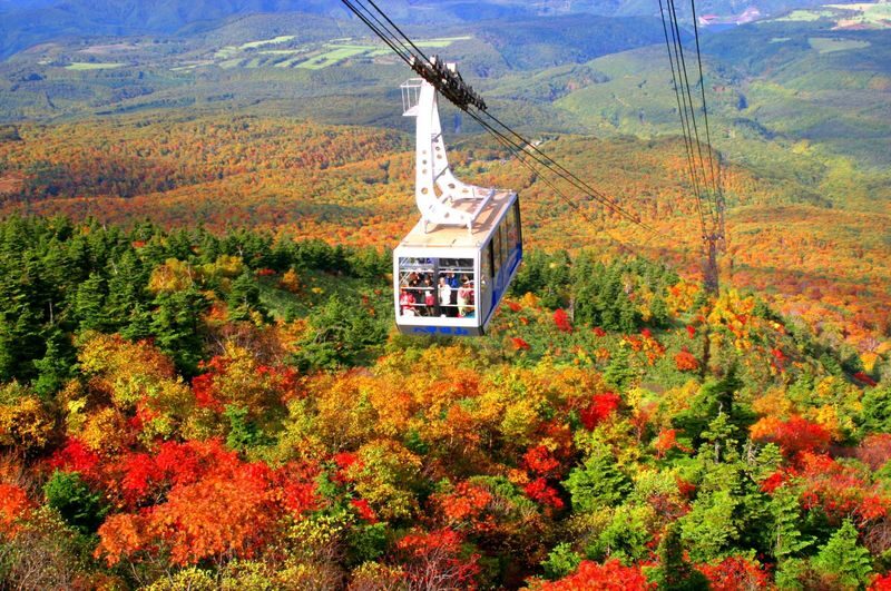Aomori Small Group Day Tour | Oirase Stream, Hakkoda Mountains, Takayama Inari Shrine, Tanesashi Coast - Plan 1: Hakkoda, Oirase Stream, and Lake Towada