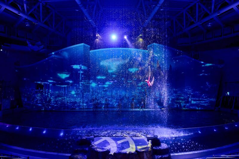 Aqua Planet Jeju Ticket [Foreigners Only] - Touch pools and Kids Planet add hands-on time
