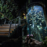 Aquaria KLCC Ticket - Follow the Exhibits at Your Own Pace