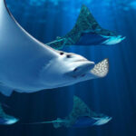Aquaria Phuket Ticket - Four zones, with plenty to look at