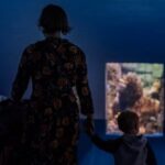 Aquarium de Paris Admission in Paris - What you can expect inside