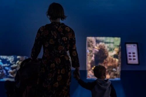 Aquarium de Paris Admission in Paris - What you can expect inside