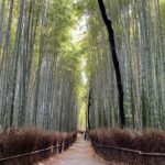 Arashiyama 3-Hour UNESCO Site & Monkey Park Tour - A quiet shrine offers a change of mood