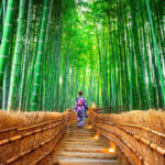 Arashiyama Sagano Train & Hozugawa River Full-Day Cruise - The Sagano train: a scenic ride, not the whole show