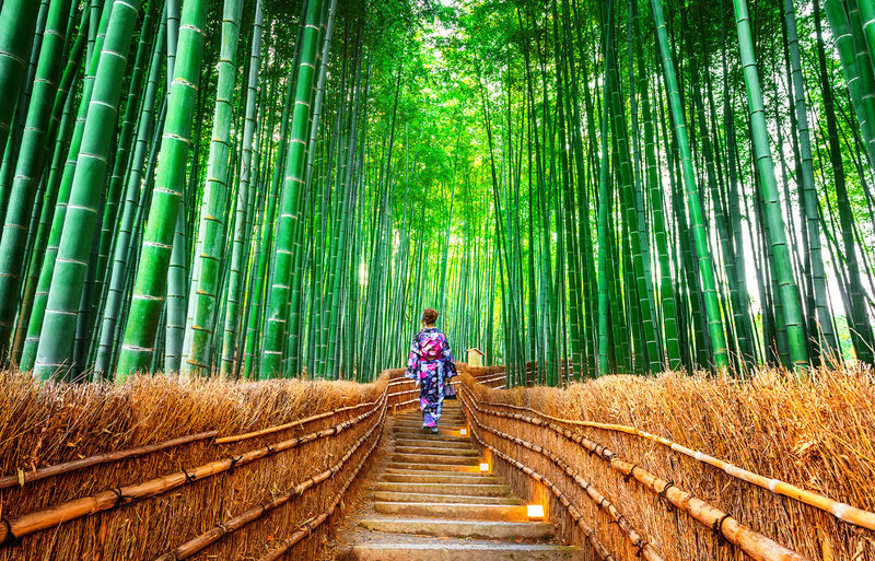 Arashiyama Sagano Train & Hozugawa River Full-Day Cruise - The Sagano train: a scenic ride, not the whole show