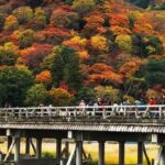 Arashiyama Tour with Optional Sagano Romantic Train Ride - From Mikami Shrine to the bamboo grove