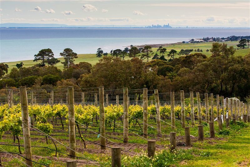 Around the Bay Food and Wine Tastings Tour from Melbourne - Geelong waterfront before the vineyard