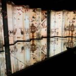 Art Aquarium Museum GINZA Ticket - Following the Goldfish Corridor and Changing Displays