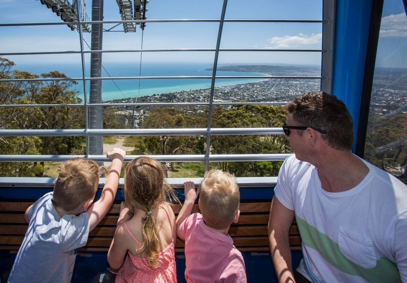 Arthurs Seat Eagle Gondola Ticket on the Mornington Peninsula - What you can see from the gondola