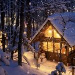 Asahiyama Zoo & Biei Blue Pond & Shirogane Falls or Farm Tomita Day Trip (Departing from Sapporo, Hokkaido, includes original souvenir) - Asahiyama Zoo: plan your two hours
