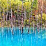 Asahiyama Zoo & Farm Tomita Full-Day Nature Tour - Asahiyama Zoo: plan your priorities before arrival