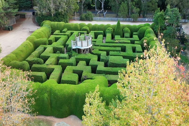 Ashcombe Maze and Lavender Gardens ticket - Give the full 25 acres room