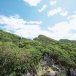 Asmui Hikes Admission in Okinawa - Following the trails through cycads and banyans