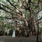 ASMUI Spiritual Hikes - The karst formations are the main event