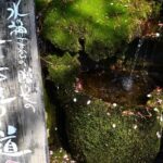 Aso Shrine & Mt. Aso Crater & Kamishikimi Kumanoimasu Shrine Day Trip - Follow the spring water through Monzenmachi