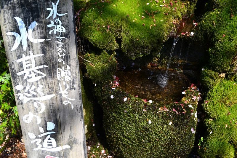 Aso Shrine & Mt. Aso Crater & Kamishikimi Kumanoimasu Shrine Day Trip - Follow the spring water through Monzenmachi