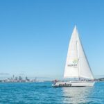 Auckland Harbour Sailing Cruise - What happens during the 90-minute sail