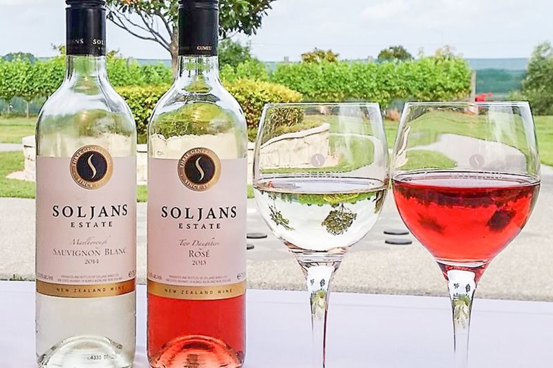 Auckland Wine Country Tour with Lunch - Three winery stops, with room to learn