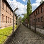 Auschwitz-Birkenau Day Tour from Krakow with Round-Trip Transport - The journey from Krakow to the memorial