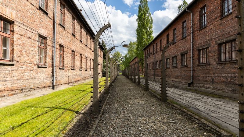 Auschwitz-Birkenau Day Tour from Krakow with Round-Trip Transport - The journey from Krakow to the memorial
