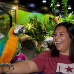 Austin Aquarium Ticket - Start with the aquatic displays